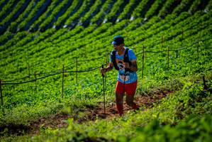 BIB: 
                            <button type="button" onclick="openModal(19161230)" class="btn btn-primary btn-sm float-right btn-popup" data-toggle="modal" data-target=".modal-high-quality">
                        <i class="fas fa-shopping-cart"></i> Add to Cart
                    </button>
                                            <button type="button" onclick="isThisMe(19161230, true)" class="btn btn-success btn-sm float-right btn-popup btn-isme hidden" data-toggle="tooltip" data-placement="bottom" title="นี่คือรูปของคุณใช่ไหม คลิกที่นี่เพื่อเอาเข้าอัลบั้ม">
                        <i class="fas fa-plus"></i> Add to album
                    </button>
                    <button type="button" onclick="isThisMe(19161230, false)" class="btn btn-warning btn-sm float-right btn-popup btn-isnotme hidden">
                        <i class="fas fa-ban"></i> Remove from album
                    </button>